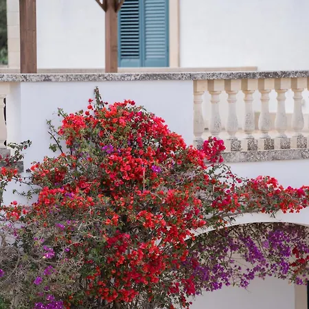 Masseria San Biagio *